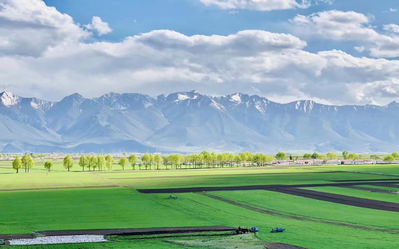 祁連山腹地美景。華旦才讓攝