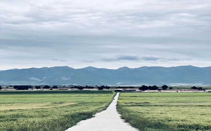祁連山腹地美景。華旦才讓攝