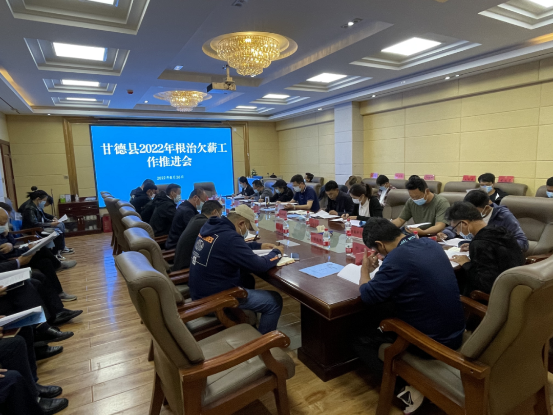 工作推進(jìn)會現(xiàn)場。甘德縣委宣傳部供圖