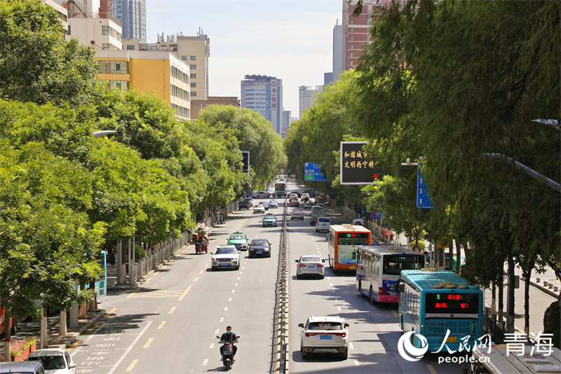 9月5日，西寧市道路交通井然有序。人民網(wǎng) 張皓芃攝