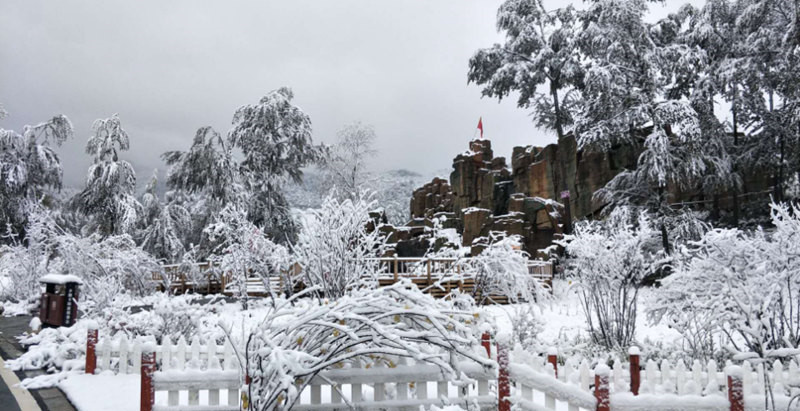 “林海雪原”卡陽。西寧市文化旅游廣電局供圖