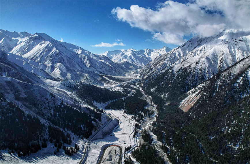 春雪覆蓋高山和森林。安雪姣攝