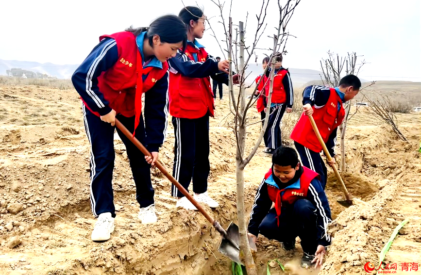 植樹活動現(xiàn)場。人民網(wǎng) 顧斐菲攝