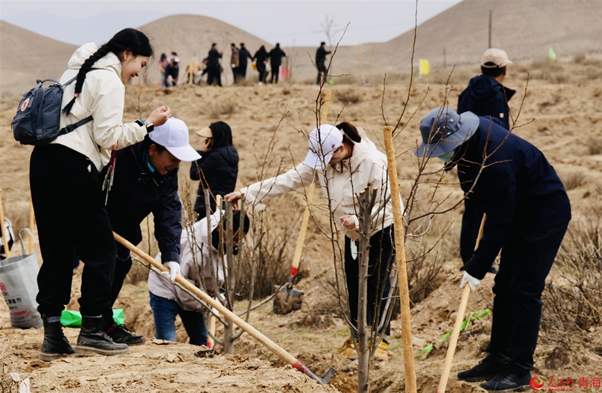 植樹活動現(xiàn)場。人民網(wǎng) 顧斐菲攝