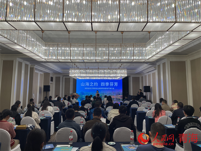 推介會現(xiàn)場。人民網(wǎng) 況玉攝
