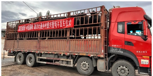 首批大通牦牛大宗交易從大通發(fā)車。大通縣鄉(xiāng)村振興局供圖