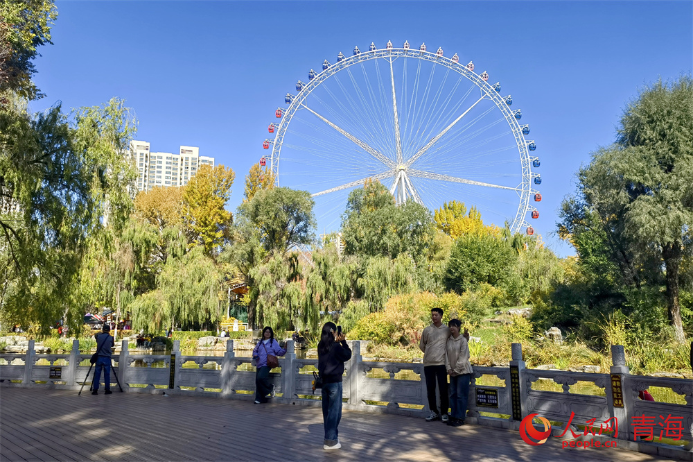 市民在公園欣賞秋景并拍照打卡。人民網(wǎng) 馬可欣攝