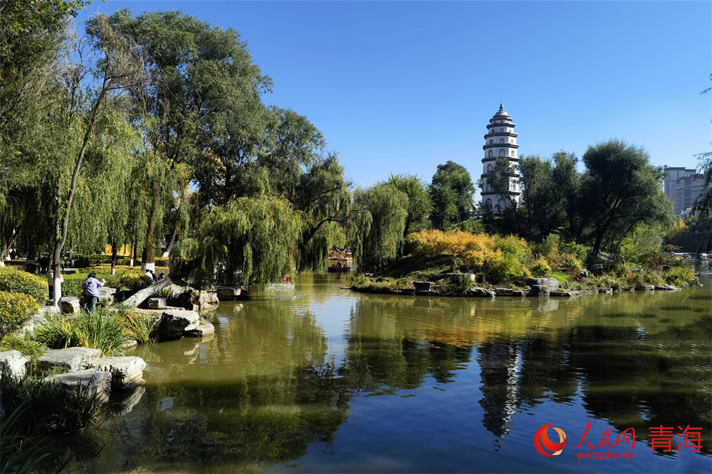 西寧市人民公園五彩斑斕的秋景。人民網(wǎng) 馬可欣攝