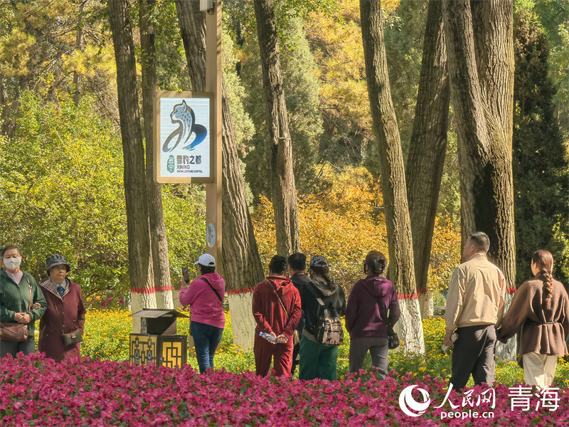 在“雪豹之都”西寧，市民欣賞秋景。人民網(wǎng) 馬可欣攝