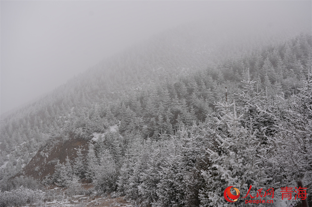 青沙山云霧繚繞，雪景如畫(huà)。人民網(wǎng) 馬可欣攝