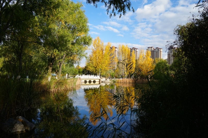 西寧湟水國家濕地