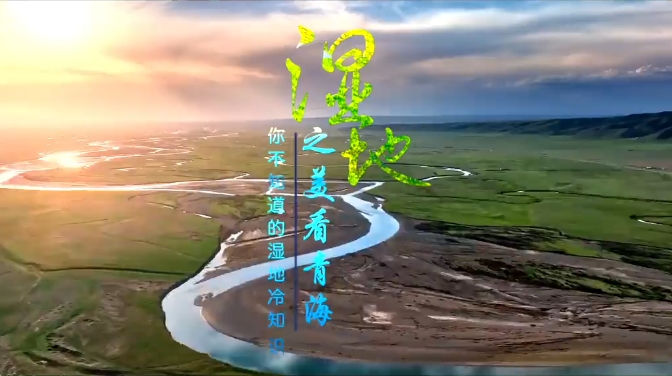 你不了解的濕地冷知識|青海湖也會變成淡水湖？