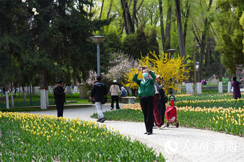 市民在公園內(nèi)記錄美景。人民網(wǎng) 馬可欣攝