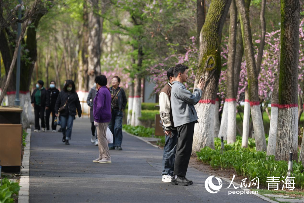 市民觀賞拍照公園美景。人民網 馬可欣攝