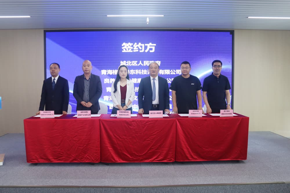 集中簽約。城北區(qū)委宣傳部供圖