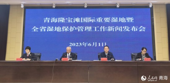 發(fā)布會(huì)現(xiàn)場。人民網(wǎng) 馬可欣攝