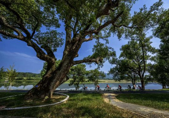 武夷山國家公園1號風(fēng)景道（南平崇陽溪段）。吳大灼 攝