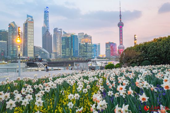 北外灘繁花似錦，景色迷人。 人民網(wǎng)記者 王初攝