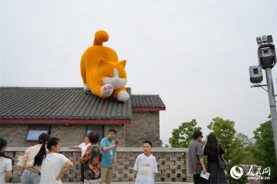 橘貓趴在屋頂憨態(tài)可掬。人民網 劉汕攝